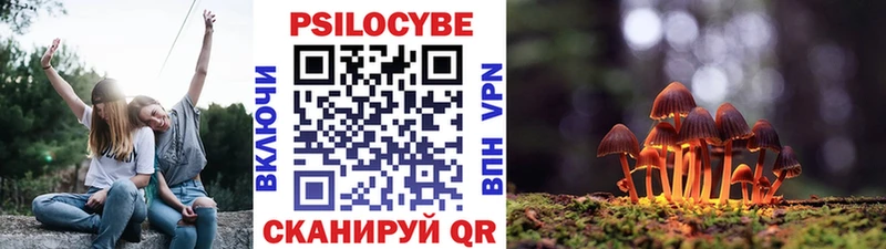 магазин продажи наркотиков Гусь-Хрустальный Галлюциногенные грибы Cubensis