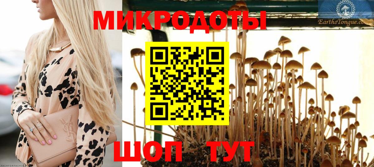 Гусь-Хрустальный  Псилоцибиновые грибы Psilocybine cubensis  Вход с VPN 