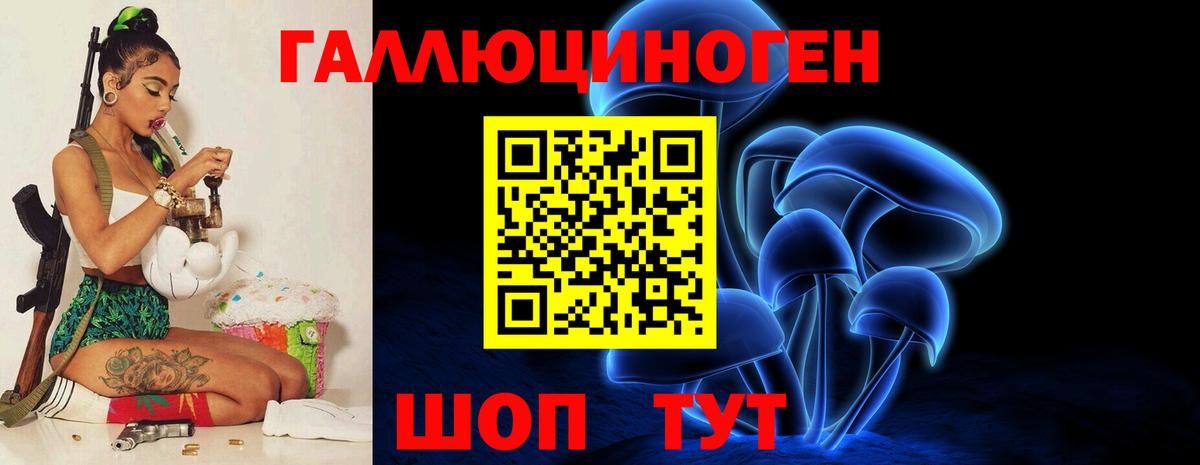 Меф мяу мяу Гусь-Хрустальный